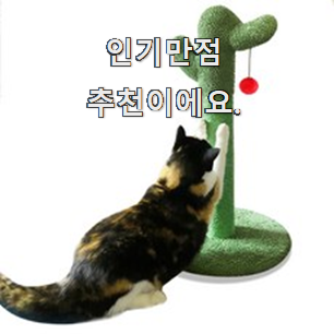  후기로대박난 선인장캣타워 인기아이템 소개해주고 칭찬받아요.