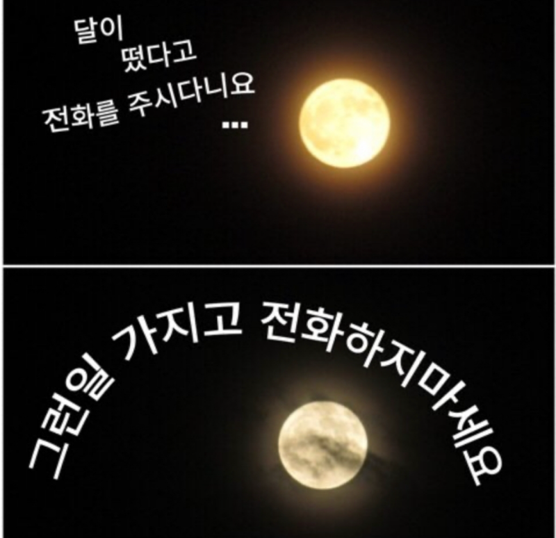 [Intp] Intp 인팁 짤 모음 (특징/팩폭/연애/이상형/빙고/밈) : 네이버 블로그