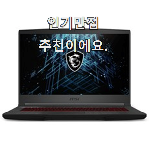  맘에드는 게이밍노트북 아이템 단골집 사장님이 추천이에요.