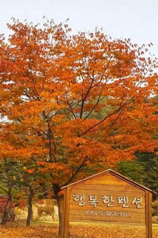 행복한펜션 사진 5