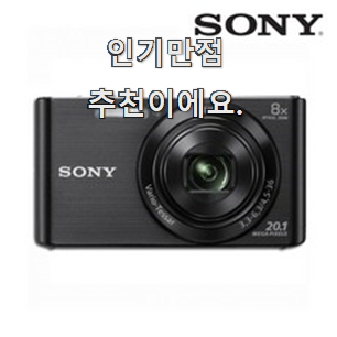  갖고싶은 디지털카메라 꿀템 순위정보 선택하니 웃음이 나오네요.