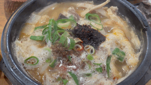  [제주 함덕 맛집] 함덕골목