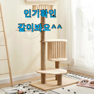 후회안합니다. 원목캣타워 진실된 순위정보 칭찬은 처음인 듯 해요. 후회안합니다. 원목캣타워 진실된 순위정보 칭찬은 처음인 듯 해요.