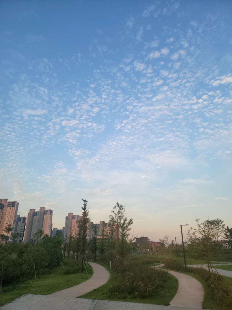  신나는 음악