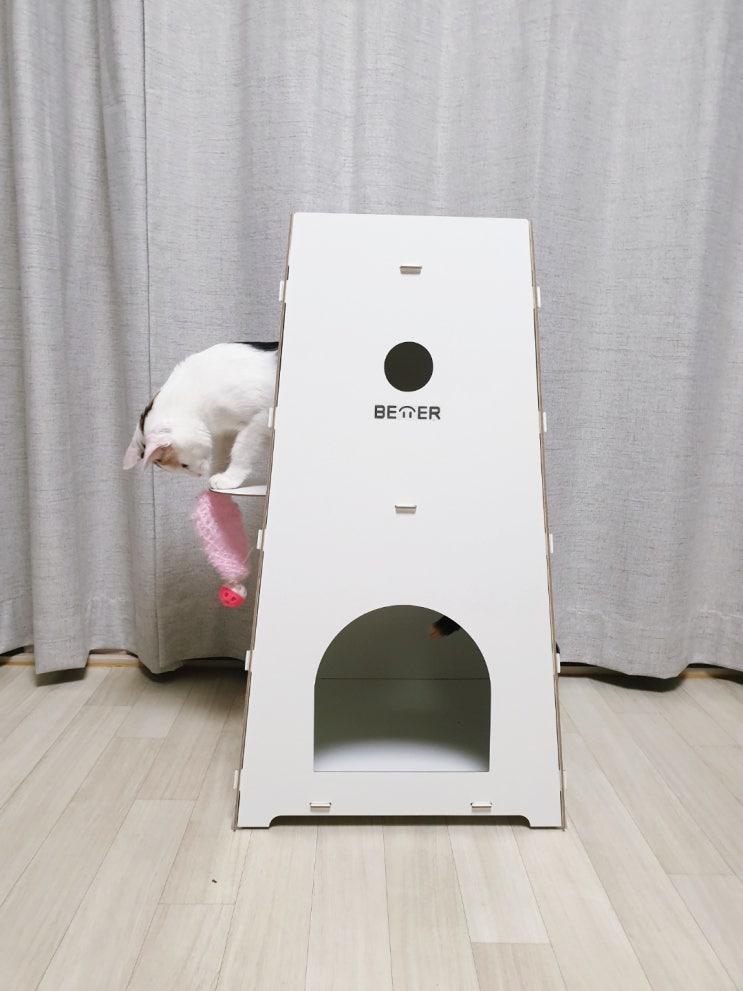  고양이 숨숨집 가성비 좋은 베럴하우스에서!