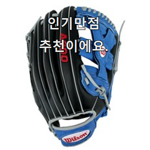  실속있는 윌슨글러브 모두의 순위 품절되기전에 빨리 킵하세요!