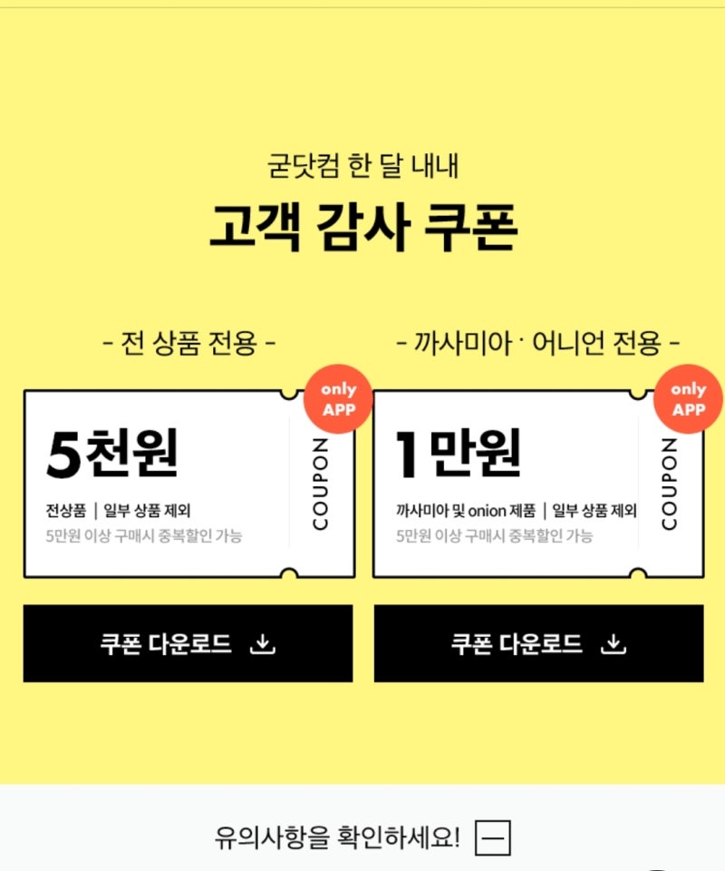 코드283 이미지