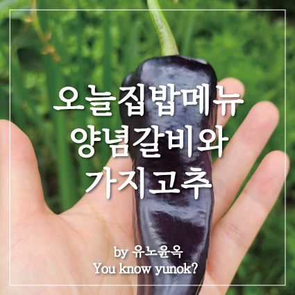  저녁메뉴 가지고추와 양념고기의 꿀조합