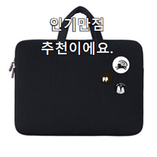  가성비템 노트북파우치 선택 대리님이 알려줬어요.