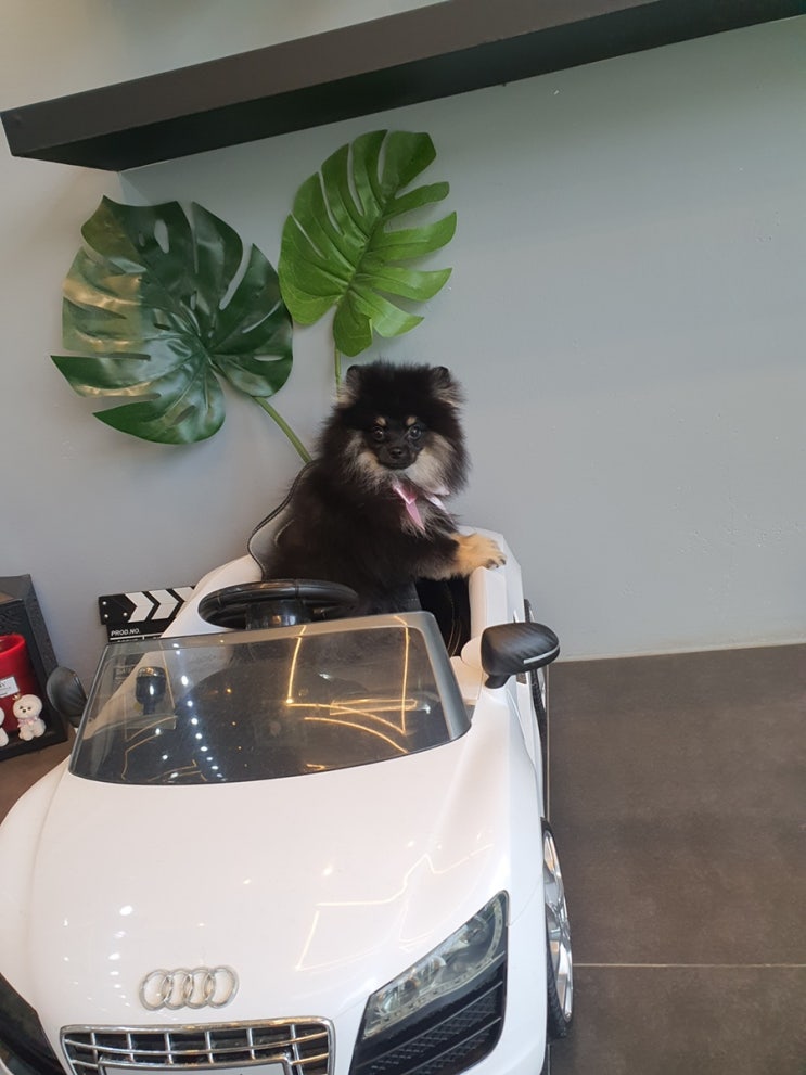  오늘하루