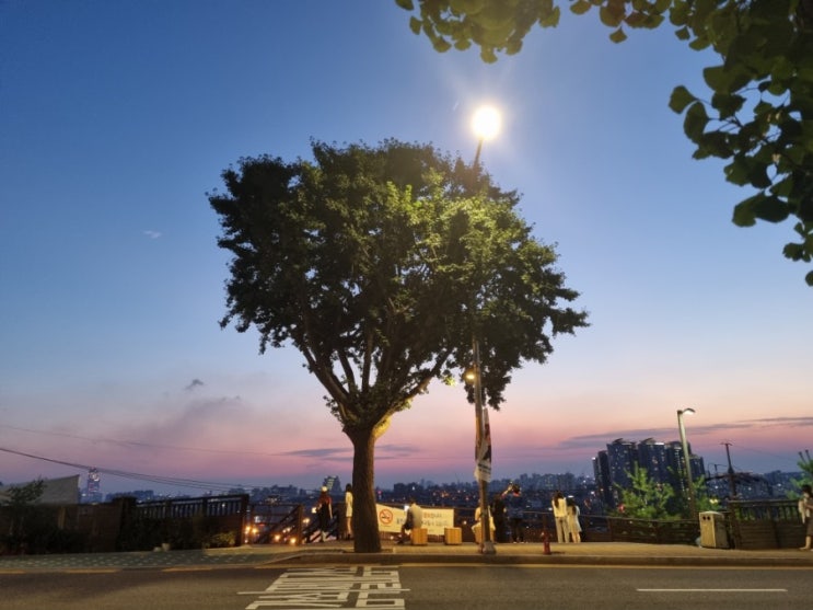 남산 러닝 그리고 남산 케이블카 주차장 차량 너무 많네요 코로나 끝났나요? 남산 러닝 그리고 남산 케이블카 주차장 차량 너무 많네요 코로나 끝났나요?