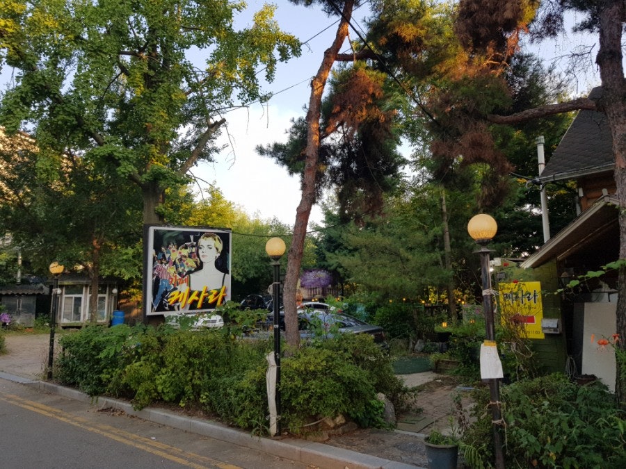 케사라 사진 6