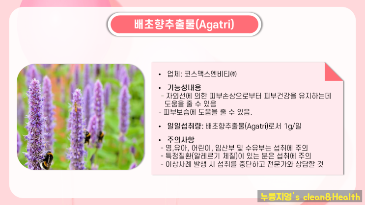  [제품추천] 신소재 피부건강 배초향추출물 "임영웅 아가트리 스킨"
