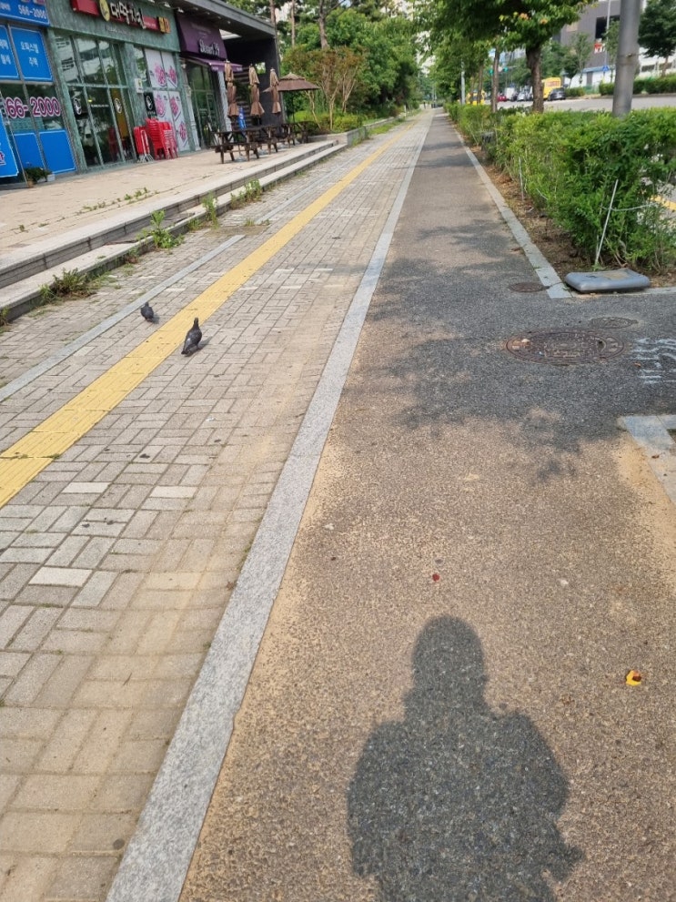  의식의 흐름대로 보낸 하루