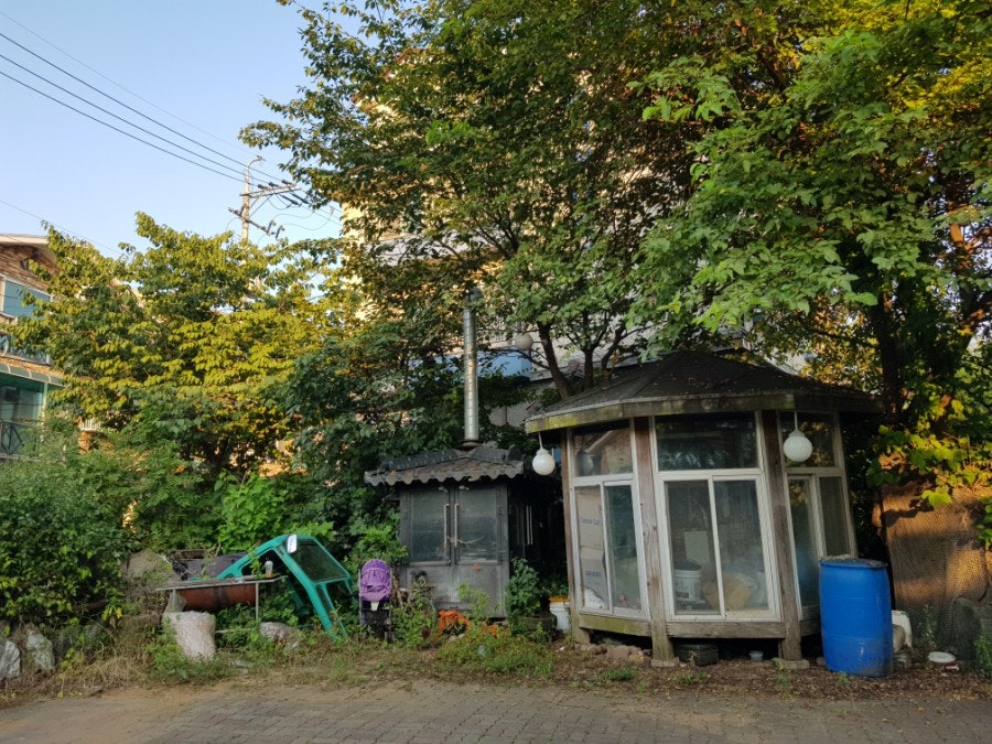 케사라 사진 2