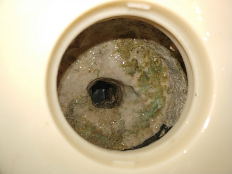 오랜 시간 동안 쌓여온 석회 때문에 막힌 인천 아파트 화장실 배수구! 깨끗하게 제거해서 막힘을 해결했습니다.