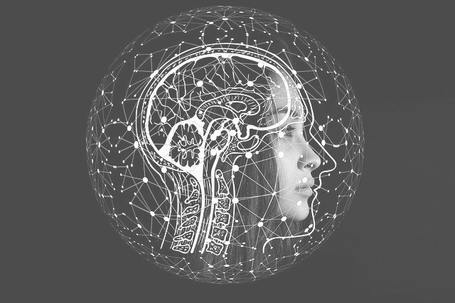 인체의 구조- 신경계통의 기능과 구성은
