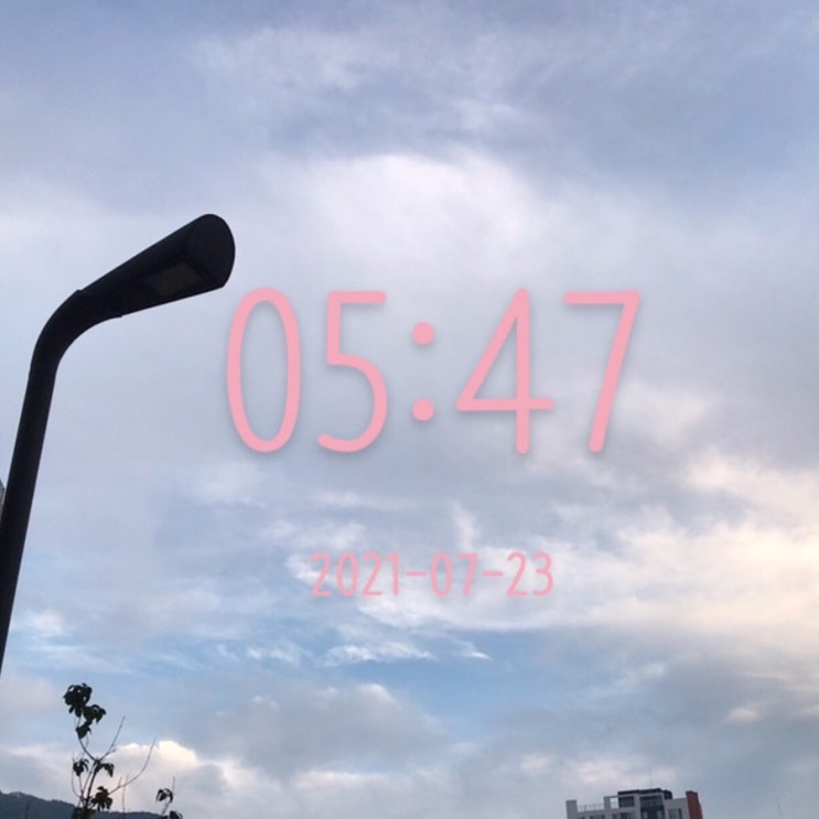  다시, 알찬하루 만들기 ~ (61일차)
