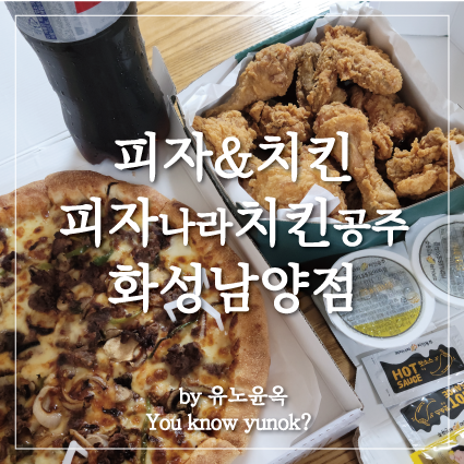  피자도 치킨도 두가지 다 맛집이었음.