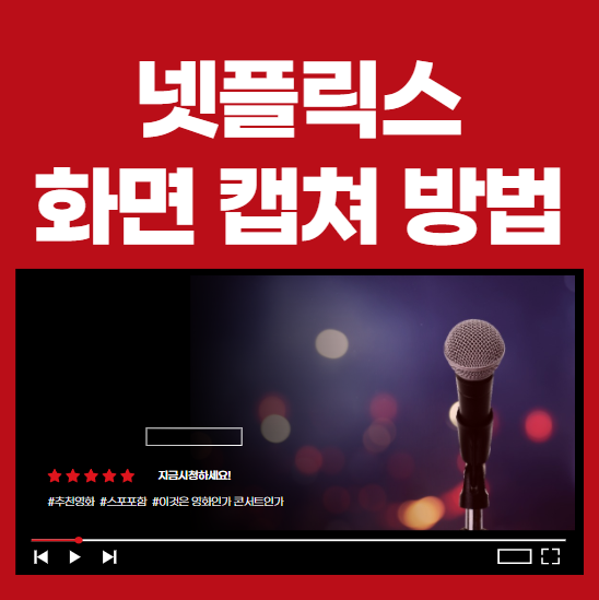 넷플릭스 화면 캡쳐 방법 크롬 웨일 확장앱