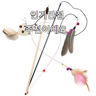  대박난 고양이장난감 모두의 순위 선택이 행복이네요 ㅎ