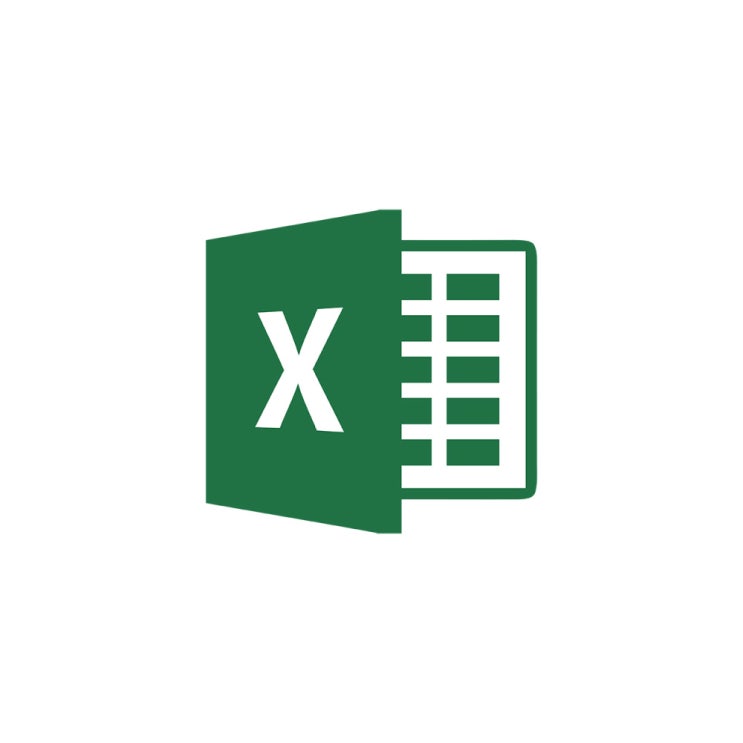 핵가성비 좋은 마이크로소프트 Excel 2019 CSP 라이선스 영구 사용, 단품 추천해요