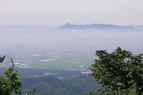 삶은감자(감자숲) 이미지