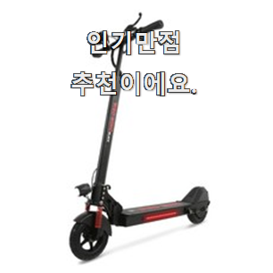  후회안합니다. 전동킥보드 아이템 부장님이 추천했어요.