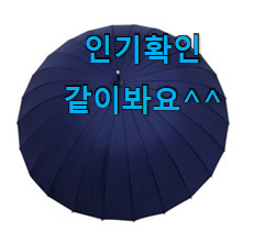 가성비혜자 자동장우산 아이템 장모님도 좋아하세요.