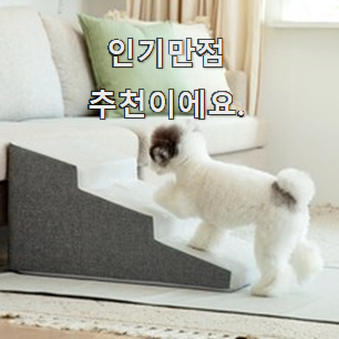  확실한 강아지계단 인기 LIST 칭찬은 처음인 듯 해요.