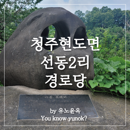  청주시 현도면 선동2리 경로당 큰이모댁