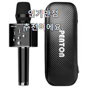  역대최고 블루투스마이크 물건 리스트 맘에 이렇게 쏙 들어요.