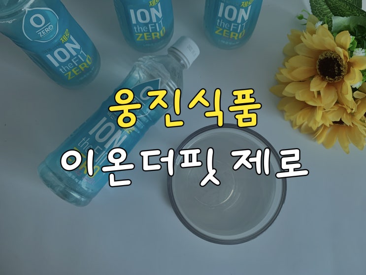  이온더핏 제로, 0칼로리 이온음료 찾으신다면 이것!
