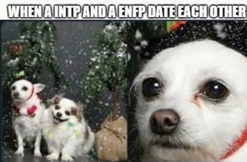[Intp] Intp 인팁 짤 모음 (특징/팩폭/연애/이상형/빙고/밈) : 네이버 블로그