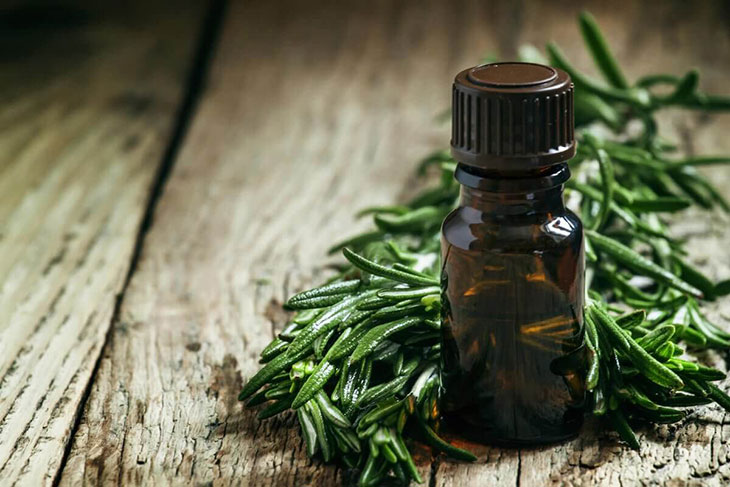  [1년 전 오늘] 티트리 오일 (Tea Tree Oil) 사용법 효능 효과