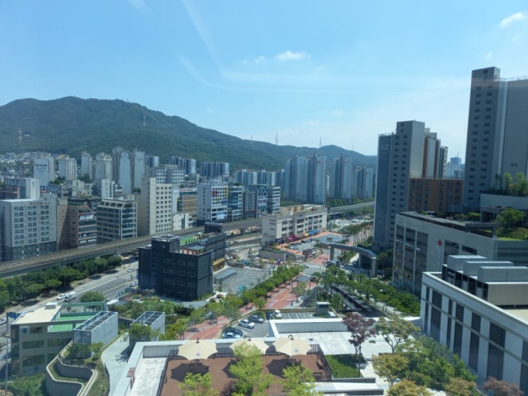  아버지 나이의 셈법