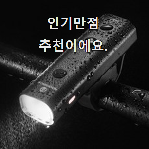  현명한소비 자전거후레쉬 인기 LIST 과장님이 알아봐주네요.