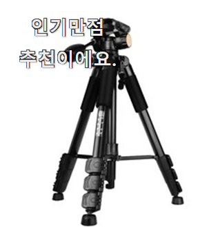  나만알고싶은 "캐논dslr카메라 모두의 순위 역시 인기템이 맞네요.