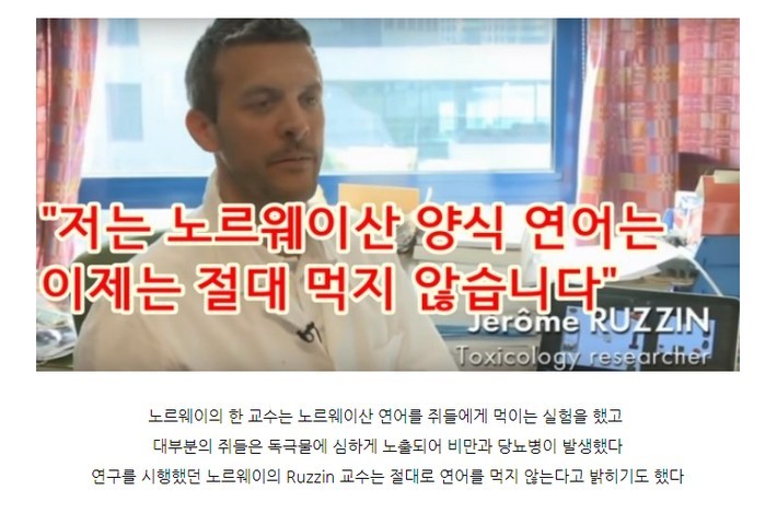  노르웨이산 연어 절대 먹으면 안되는 이유!