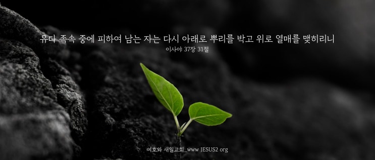 새일교회 난구절특강 | 124. 모든 백성이 3일반 목도하는 일에 대하여 (계 11:9)