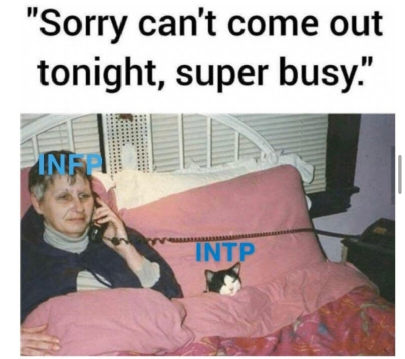 [Intp] Intp 인팁 짤 모음 (특징/팩폭/연애/이상형/빙고/밈) : 네이버 블로그