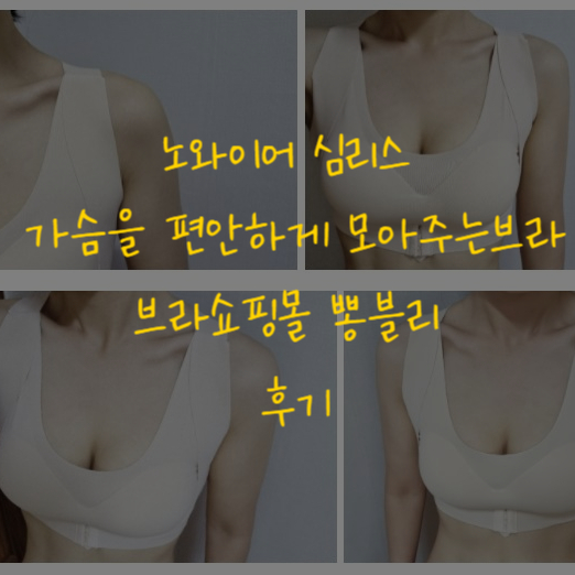  노와이어 심리스 가슴모아주는브라 쇼핑몰 뽕블리 후기