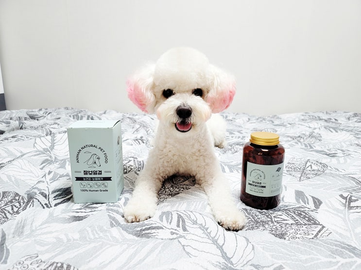 강아지 눈곱 관리 애니먼 눈물개선 영양제 잘먹어요! 강아지 눈곱 관리 애니먼 눈물개선 영양제 잘먹어요!