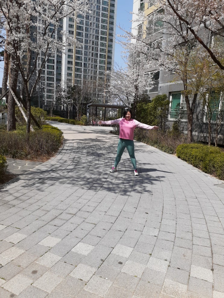  다이어트 시작