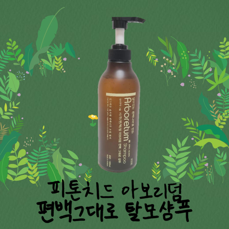  피톤치드 아보리덤 편백그대로 탈모샴푸