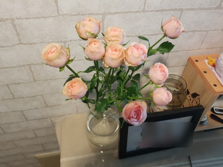  기분이 다운 될땐 꽃을 사세요 ^^