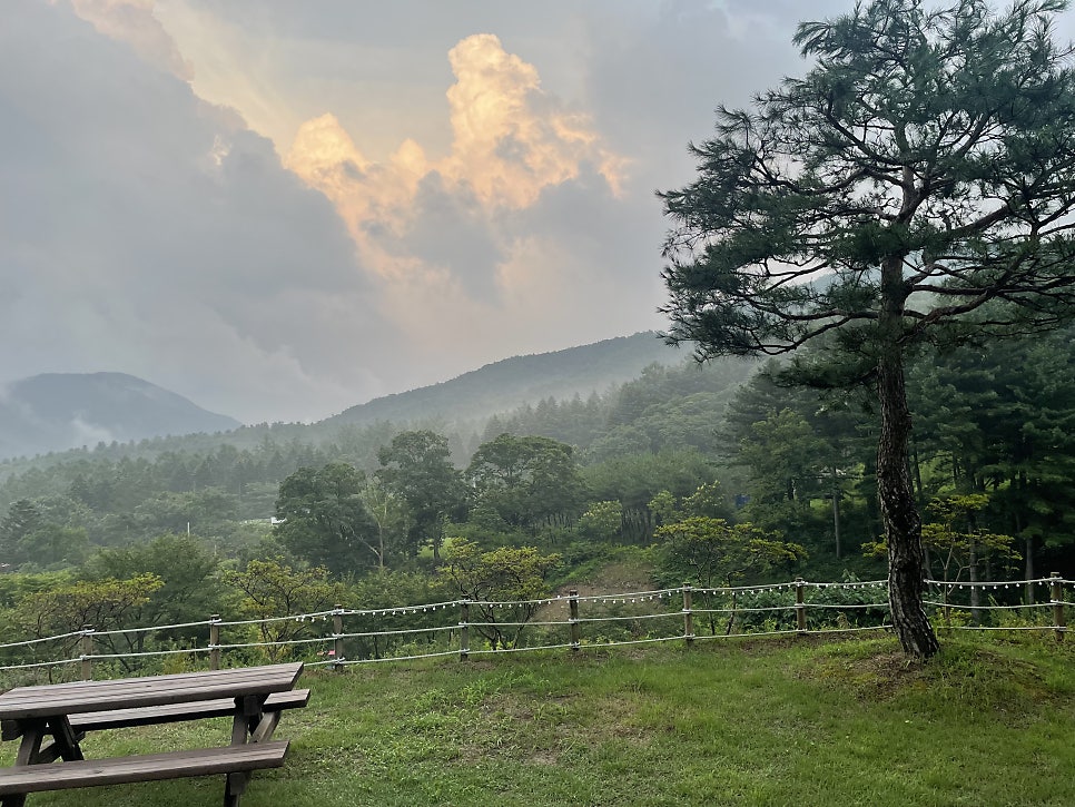 솔향기펜션 사진 4