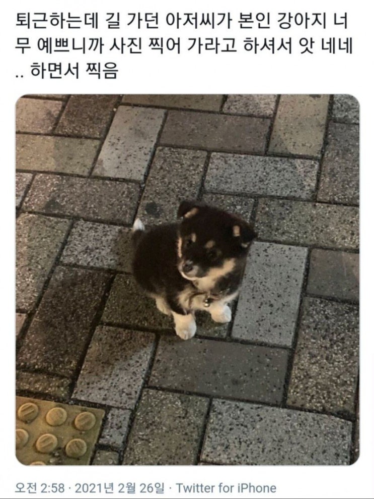  길거리의 모르는 아저씨가 건낸 제안