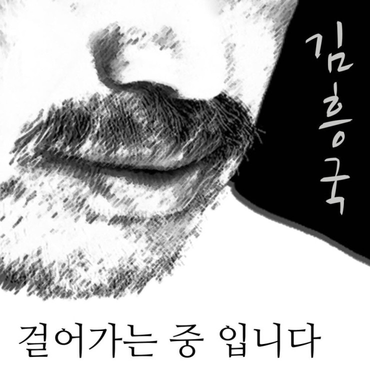 김흥국 - 걸어가는 중입니다 [노래가사, 듣기, Audio]