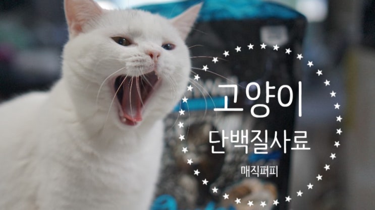  체리야 밥먹자! 고양이단백질사료 매직퍼피 뉴트리웰 그레인프리 오이스터!